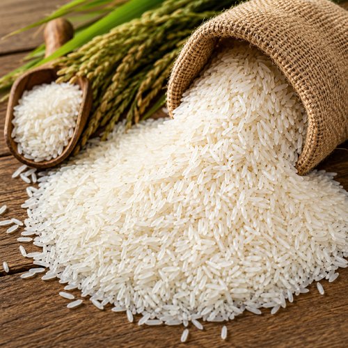 Rice